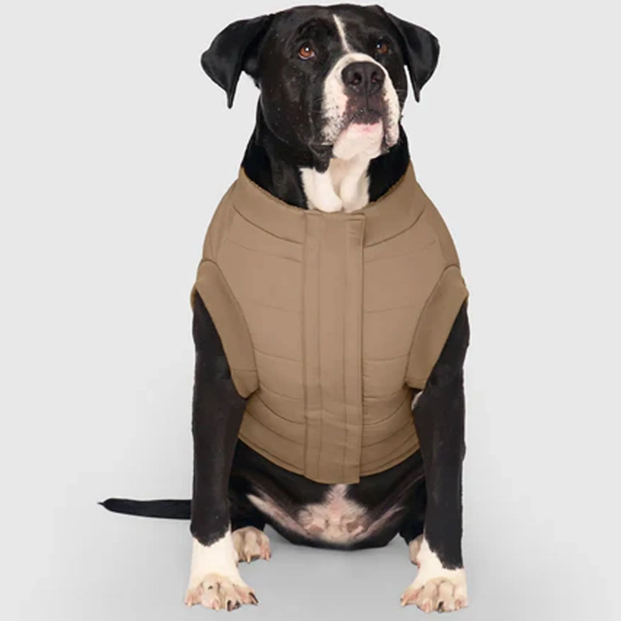 Canada Pooch Cool Factor Puffer Jacket - Tan