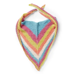 Caron Triangular Knit Shawl