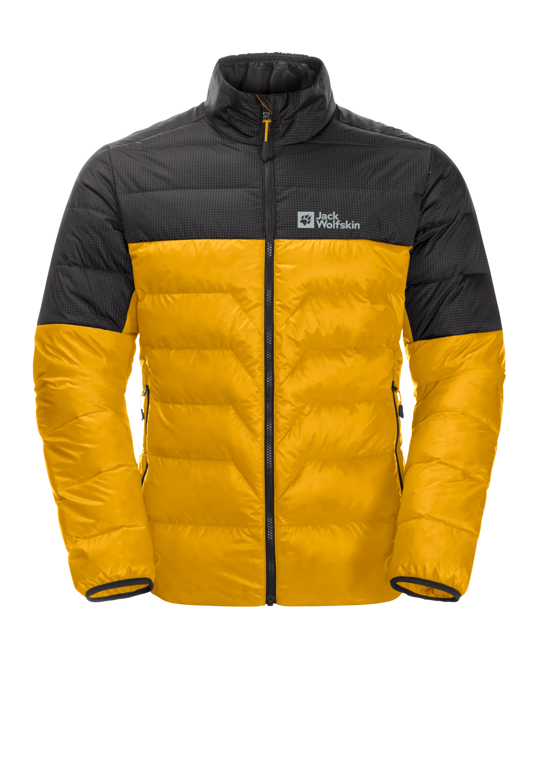 Men’s DNA Tundra Down Jacket