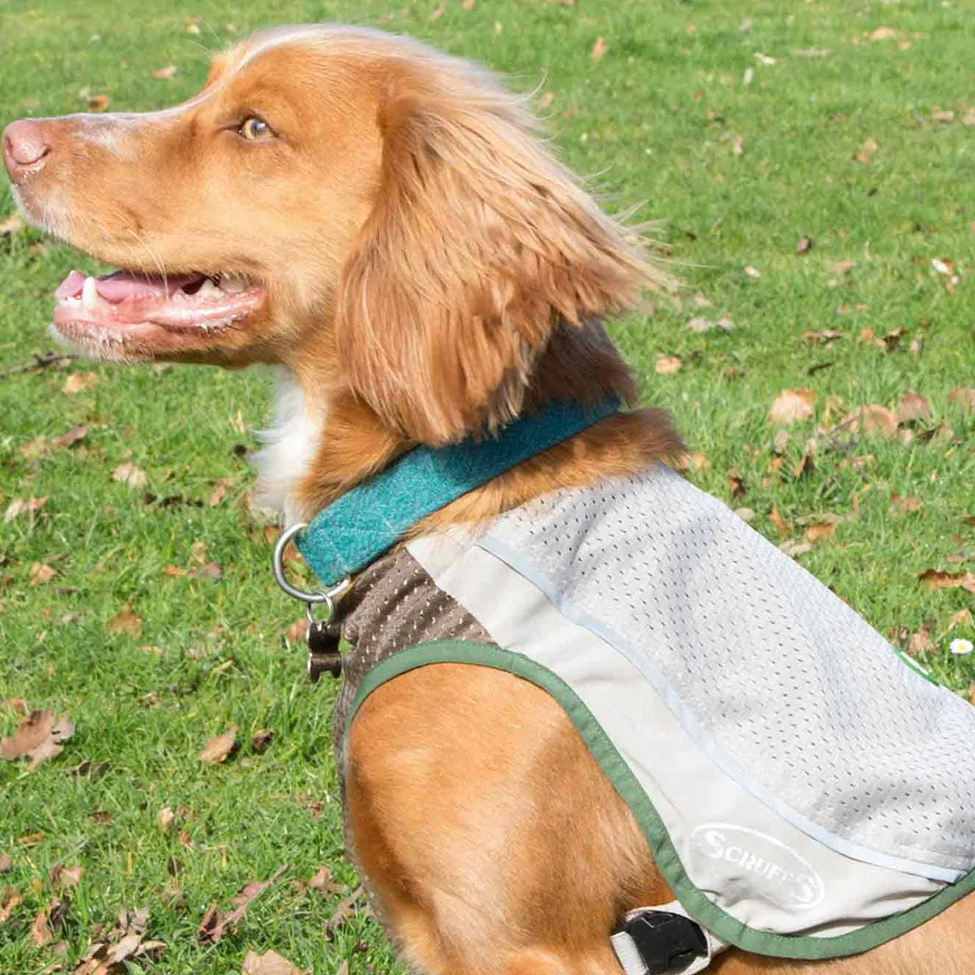 Scruffs Insect Shield Breathable Dog Vest