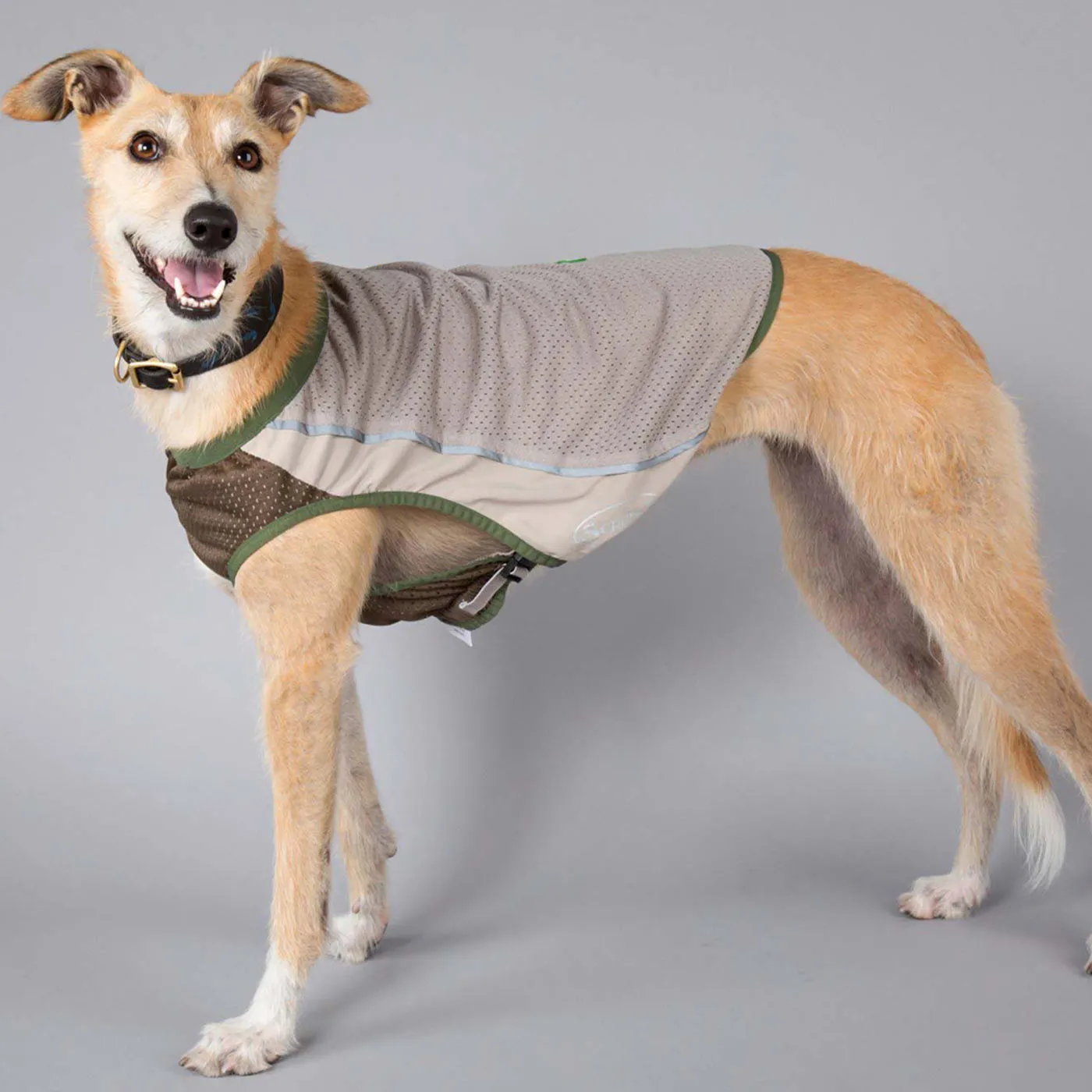 Scruffs Insect Shield Breathable Dog Vest