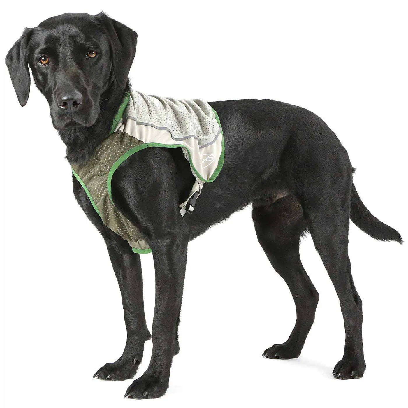 Scruffs Insect Shield Breathable Dog Vest