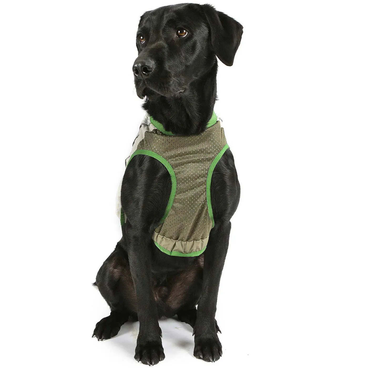 Scruffs Insect Shield Breathable Dog Vest