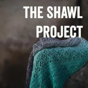 Shawl Project Book 4 (Joanna Scrace and Kat Goldin)