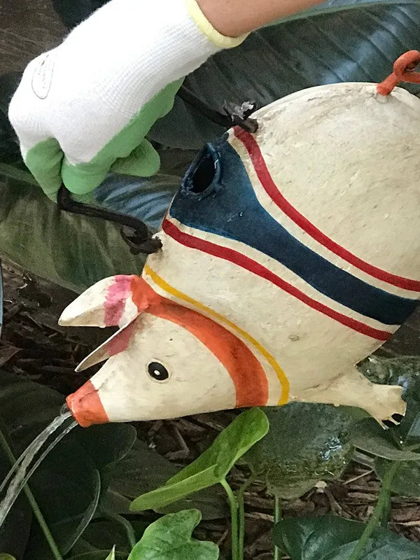 Spring Poncho Pig Hand-Painted Watering Can